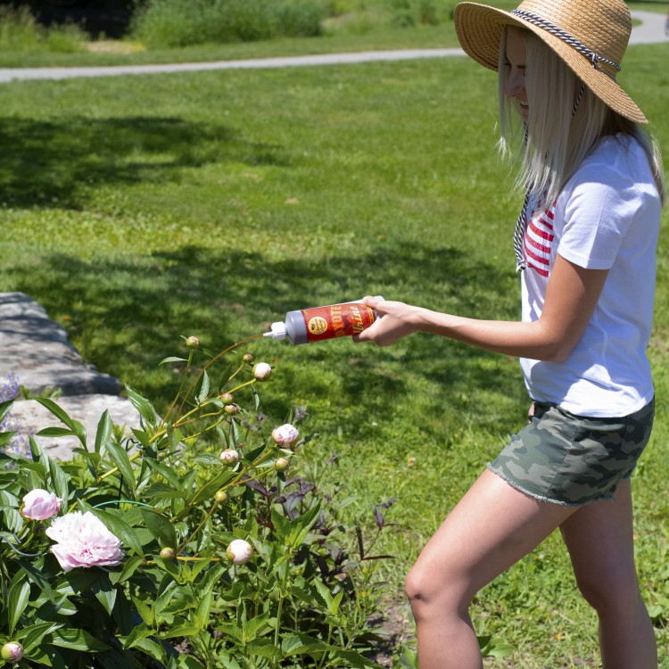 Coyote Urine 16 oz Pure Coyote Urine