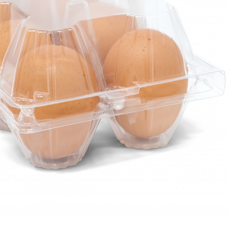 50 Pack of Egg Cartons- Bulk, Clear Plastic Egg Cartons, 50 pack, Wholesale Chicken Egg Cartons for Farmers