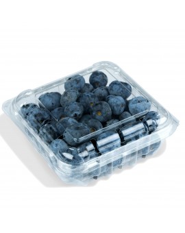 50 Berry Baskets- 6 OZ Fruit Container for Blueberries, Raspberries, Tomatoes and other Produce,  Product